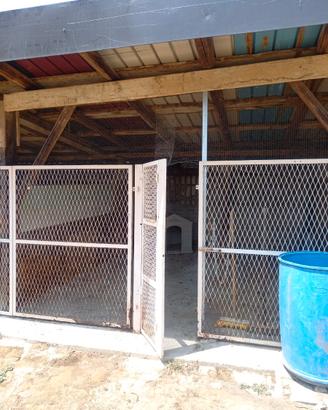 Spazio rustico per cane o deposito