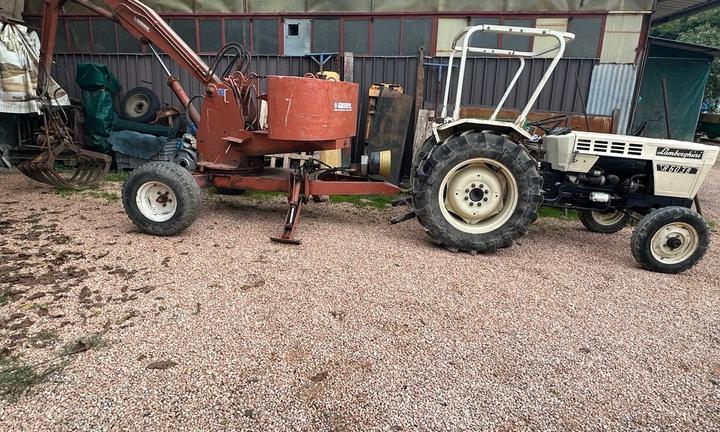 Trattore Lamborghini R 603 B anno 1980 a 2 RM moto