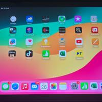 iPad 10,5 cellular