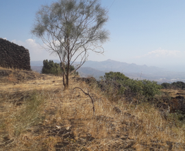 Terreno con vista panormica sulla costa ionica