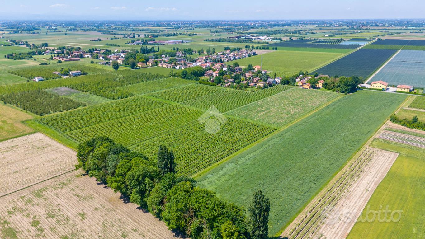TER. AGRICOLO A CARPI - Vista 4