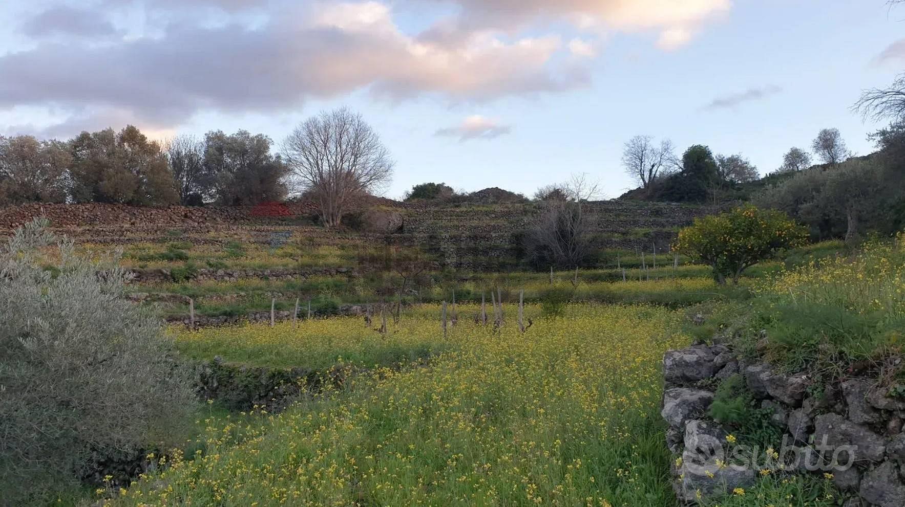 Terreno - Castiglione di Sicilia - Altro