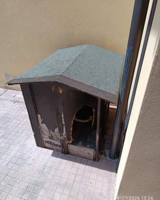 Cuccia grande