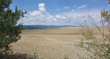 Azienda agricola a seminativo 117 ha Siena