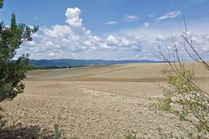 Azienda agricola a seminativo 117 ha Siena
