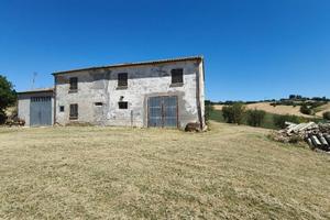 Rudere da ristrutturare con ampio terreno, N/368