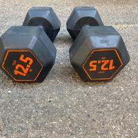 Manubri Decathlon 12,5kg