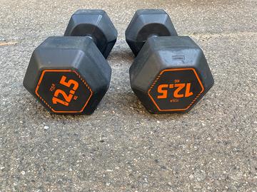 Manubri Decathlon 12,5kg