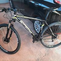 Bottecchia MTB 29
