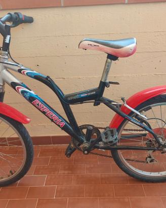 Bici Bambino 20 pollici – Ideale 6-9 anni