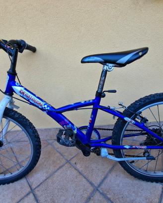 Bicicletta ragazzo