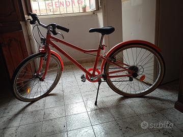 Bici riversaide da bambino