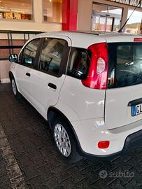 FIAT panda 3