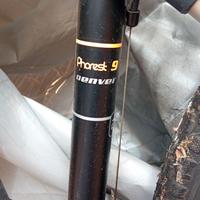 Mountain bike Denver mod. Phorest