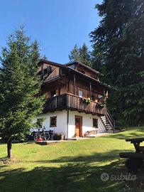 Casetta nel bosco per vacanze