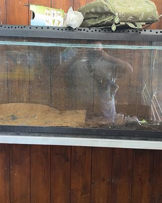 Acquario da 350 litri