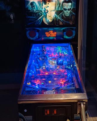 flipper terminator 2