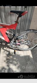 bici Mountain bike 