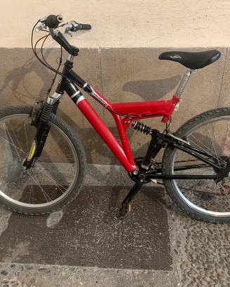 Bicicletta rossa
