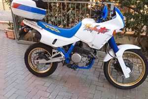 Honda nx dominetor