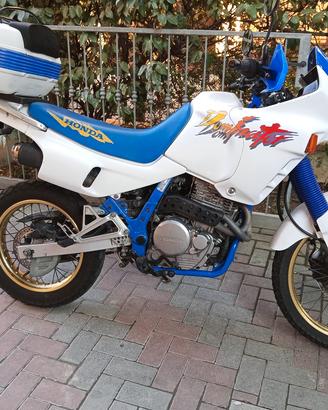Honda nx dominetor