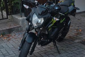 Kawasaki z 125 Performance 2022
