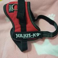 Pettorina cane Julus K9 mini-mini