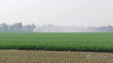 Terreno agricolo 9 ettari