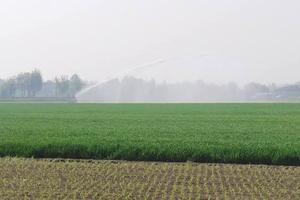 Terreno agricolo 9 ettari