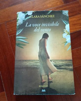 la voce invisibile del vento 