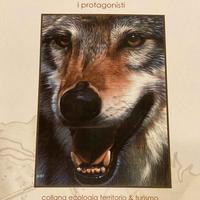 Fauna Appenninica i protagonisti