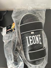 Paratibia parastinchi conchiglia kickboxing leone