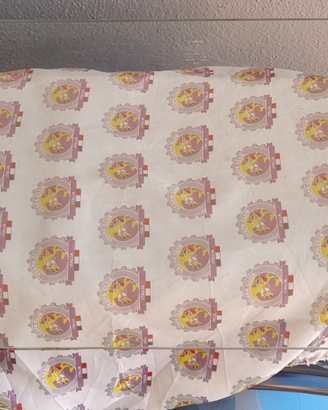 Vetro posteriore bianchina giardiniera