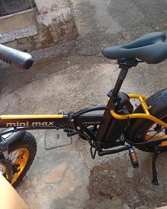 bicicletta elettrica 