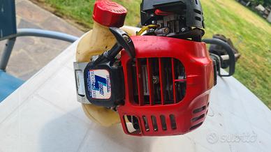 decespugliatore Robin 4T