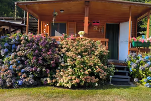 Roulotte con preingresso