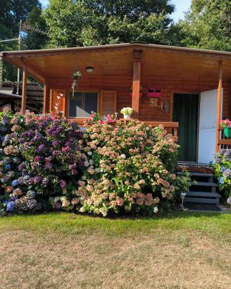 Roulotte con preingresso