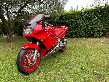 Honda VFR 750 - Perfetta, scarico Termignoni