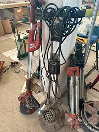 Monospazzola Raimondi