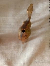 Coppia statuine ottone dromedari