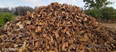 legna di radica di ulivo pulita 