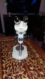 MICROSCOPES (WILD HEERBRUGG-M5-31402