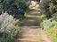 Immagine 5
