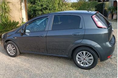 fiat punto evo 