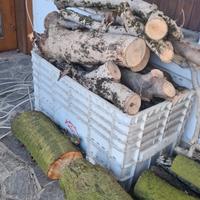 legna di ciliegio con trasporto