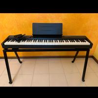 Casio sampling 100