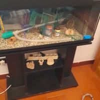 aquario con mobile 