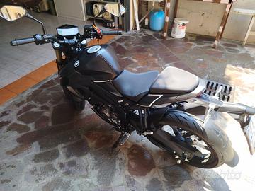 Keeway RKF 125 - 2023