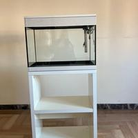 Acquario Askoll pure L