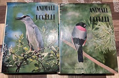 Animali – Uccelli – Vol 1 e Vol 2 – Edizioni Labor